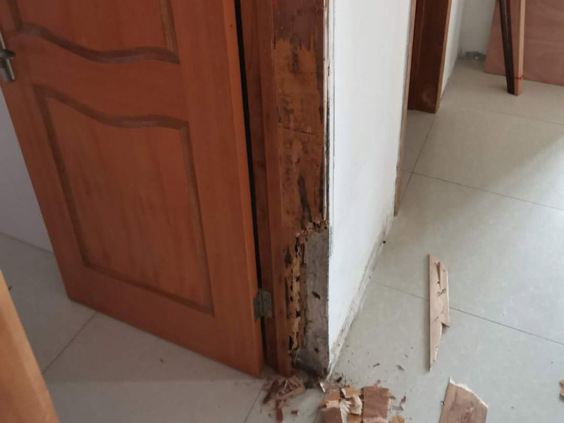 臥室門框維修：1.漆面表面劃傷用bai一只顏色與家具相同的普du通的繪圖用蠟筆，在劃痕zhi上劃一劃，使其與周邊漆面dao高度相同，再薄薄地涂上一層透明的清漆就可以了；2.油漆剝落修復，清漆家具表面小塊油漆剝落后可取同色廣告顏料涂補，再用清漆涂在表面，即完好如初3.裂縫填補用油灰和顏料拌勻后嵌入堵平，但要注意顏料要和原油灰的顏料、原油漆色彩一致，以防留下疤跡